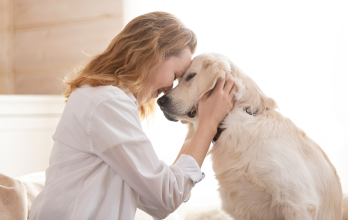 Tocar o convivir con un perro puede ayudarte a bajar el cortisol, la hormona del estrés.