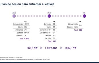 Plan de acción