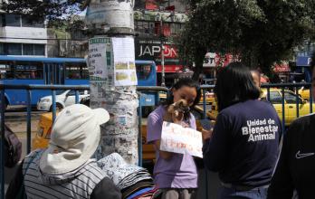 rescate animal en quito