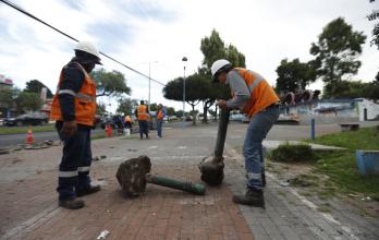 Pileta Quito