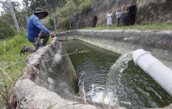 prevención de incendios en Tumbaco