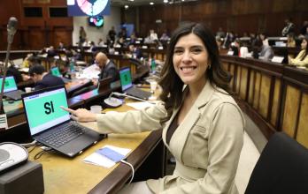 Valentina Centeno Ley de Integridad Pública