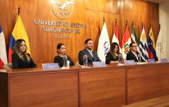 PLENO CPCCS