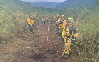bomberos brif