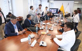 Comisión de Garantías Constitucionales