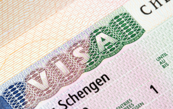 Latinoamericanos podrían beneficiarse del nuevo plan de visas de trabajo en Italia, que abre puertas a empleos legales en Europa.