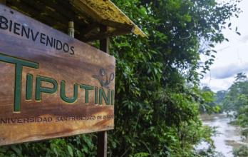 tiputini