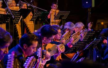 ORQUESTA INSTRUMENTOS ANDINOS