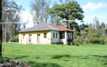 La casa de los Buhos