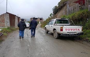 Zapotillo.