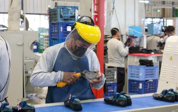 trabajadores