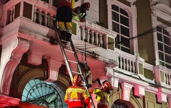 rescate animal en quito