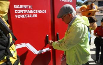 Gabinetes forestales