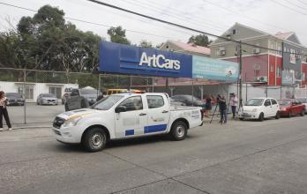 Arts Car