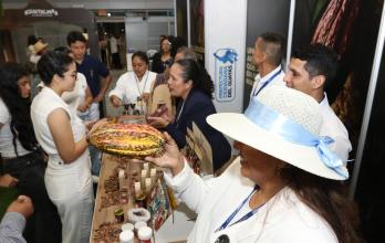 cumbre cacao