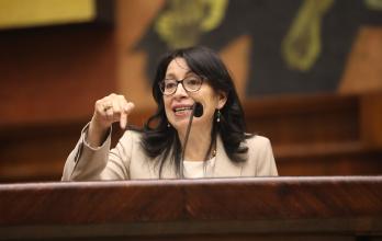 SOLANDA GOYES JUICIO POLITICO