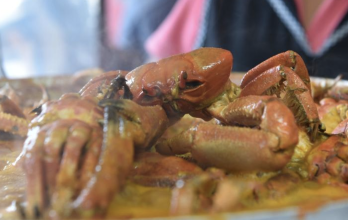 Veda de cangrejos