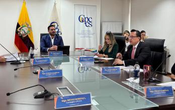 PLENO CPCCS