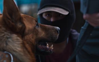 Elladrondeperros_02