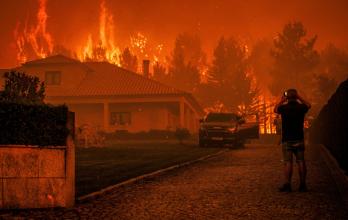 Mundo, Europa, España, Portugal, Incendios forestales