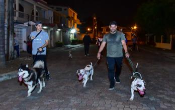 CAMINATA PERRUNA (15022924)