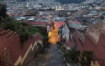 Quito abandono