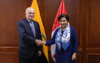 Los gobiernos de Ecuador y Perú oficializaron un acuerdo para implementar un plan binacional de lucha contra la minería ilegal en las zonas fronterizas.
