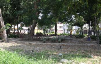 Parque de Guayacanes