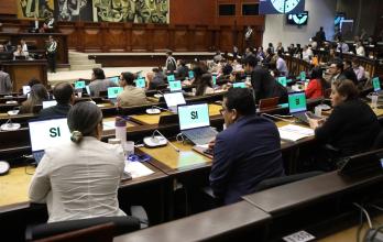 El PLENO DE LA ASAMBLEA