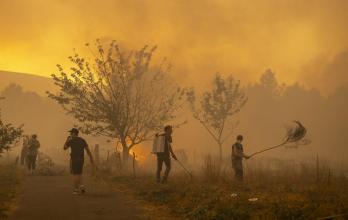 Mundo, Europa, España, Incendios forestales