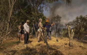 Mundo, Europa, España, Incendios forestales