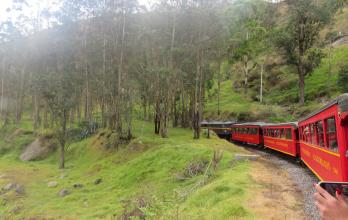 ALAUSI EL TREN REVIVE (15054452)