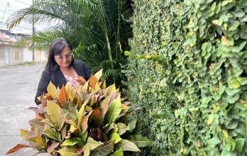 Gina Godoy tiene una fachada verde