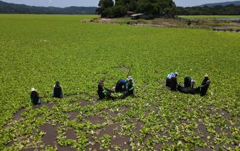 Mundo, El Salvador, Turismo, Cambio climático