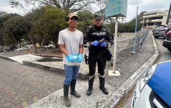 Rescate de la tortuga.