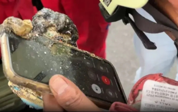 El celular de Ana Daniela fue hallado entre los restos calcinados, aún encendido; gracias a él, las autoridades lograron contactar a sus familiares e identificar su cuerpo.