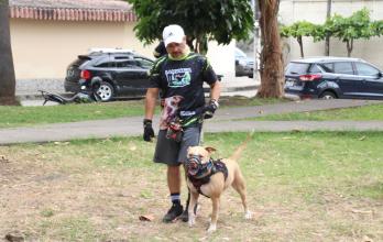 PERROS EN SAN FELIPE (15167713)
