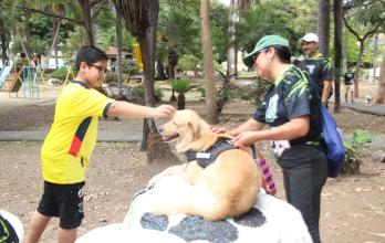PERROS EN SAN FELIPE (15167710)