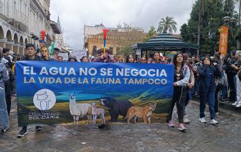 Marcha por el agua