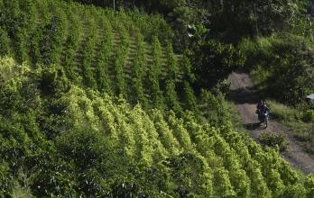 Mundo, Colombia, Estados Unidos, Narcotráfico