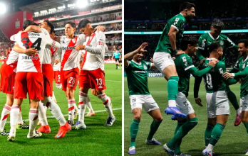 river palmeiras