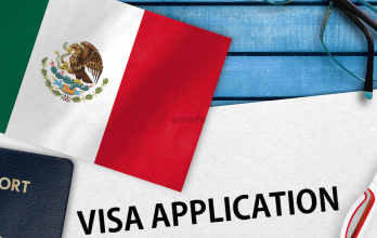 Visa láser