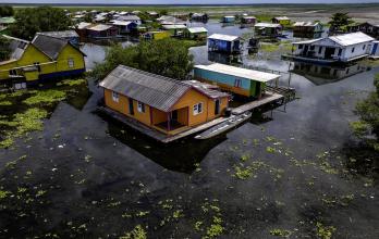 Mundo, Cambio climático, Colombia, Planta invasora amenaza