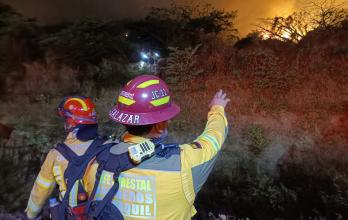 Incendio en Cerro Colorado