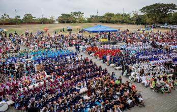 Bandas de paz