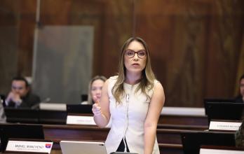 MISHEL MANCHENO ASAMBLEISTA
