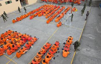 Los especialistas advierten que el problema no se resuelve con medidas temporales ni con intervenciones militares esporádicas.
