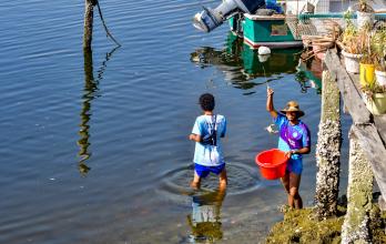 pesca en el estero Salado
