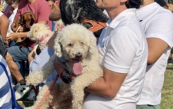 Bendición de animales Guayaquil