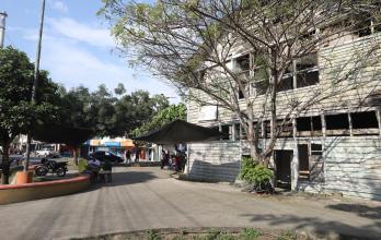 Tenguel